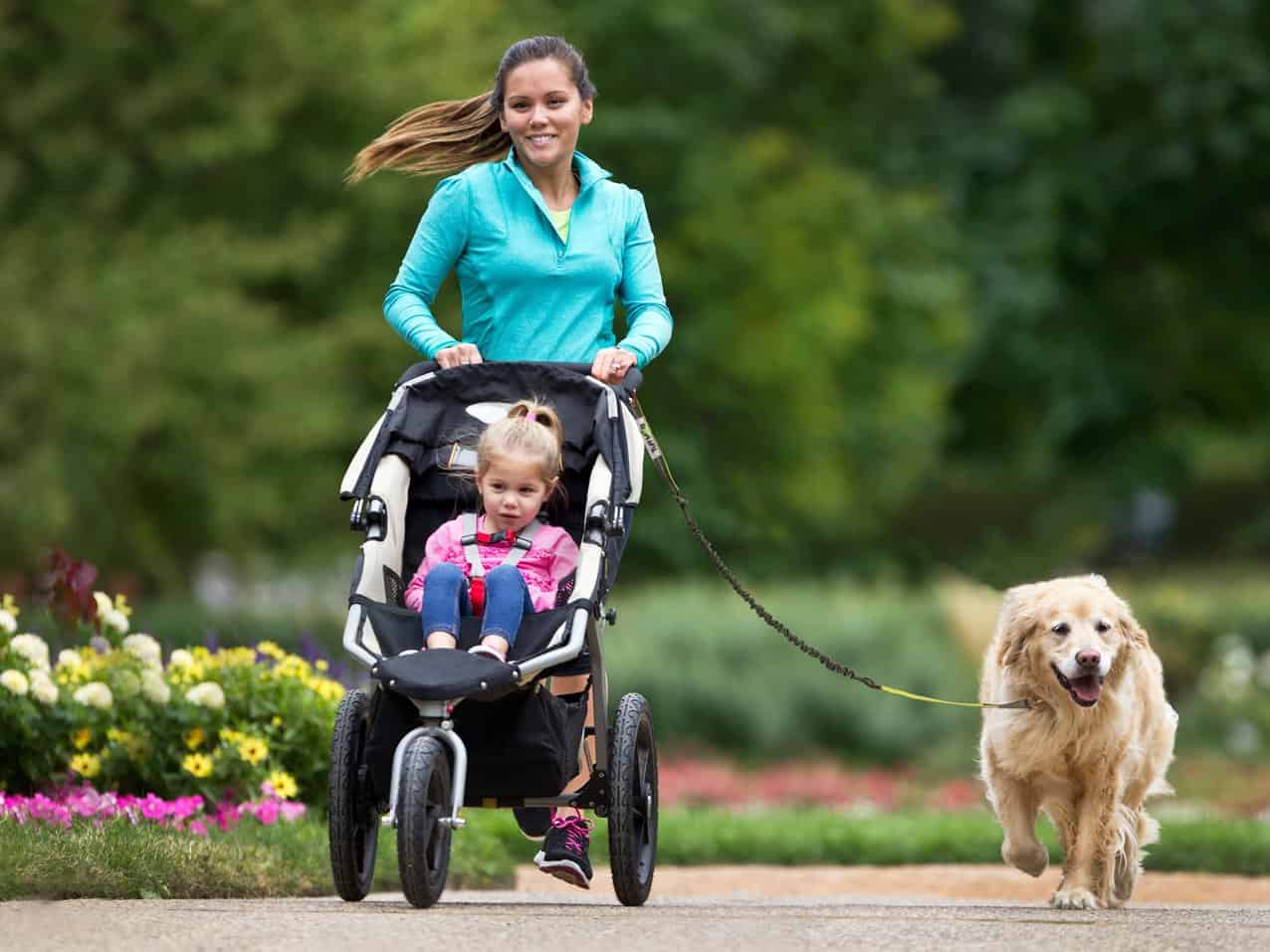 Rugalmas póráz futáshoz és sétához kutyával