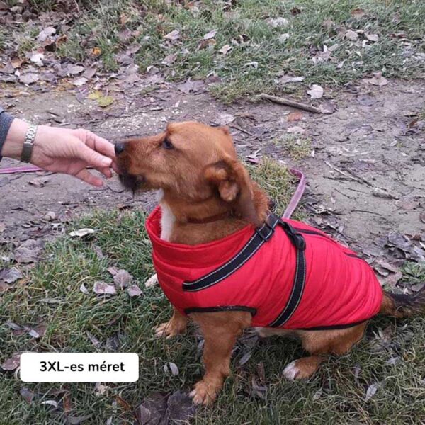 Keverék kutyus 3XL-es piros bélelt téli kutyakabátban