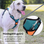 No Pull Húzásgátló Kutyahám - Image 9